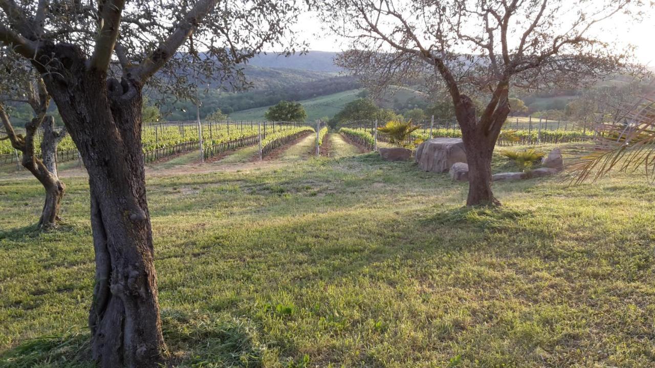 Podere Belvedere Classic Tuscan * Magliano in Toscana