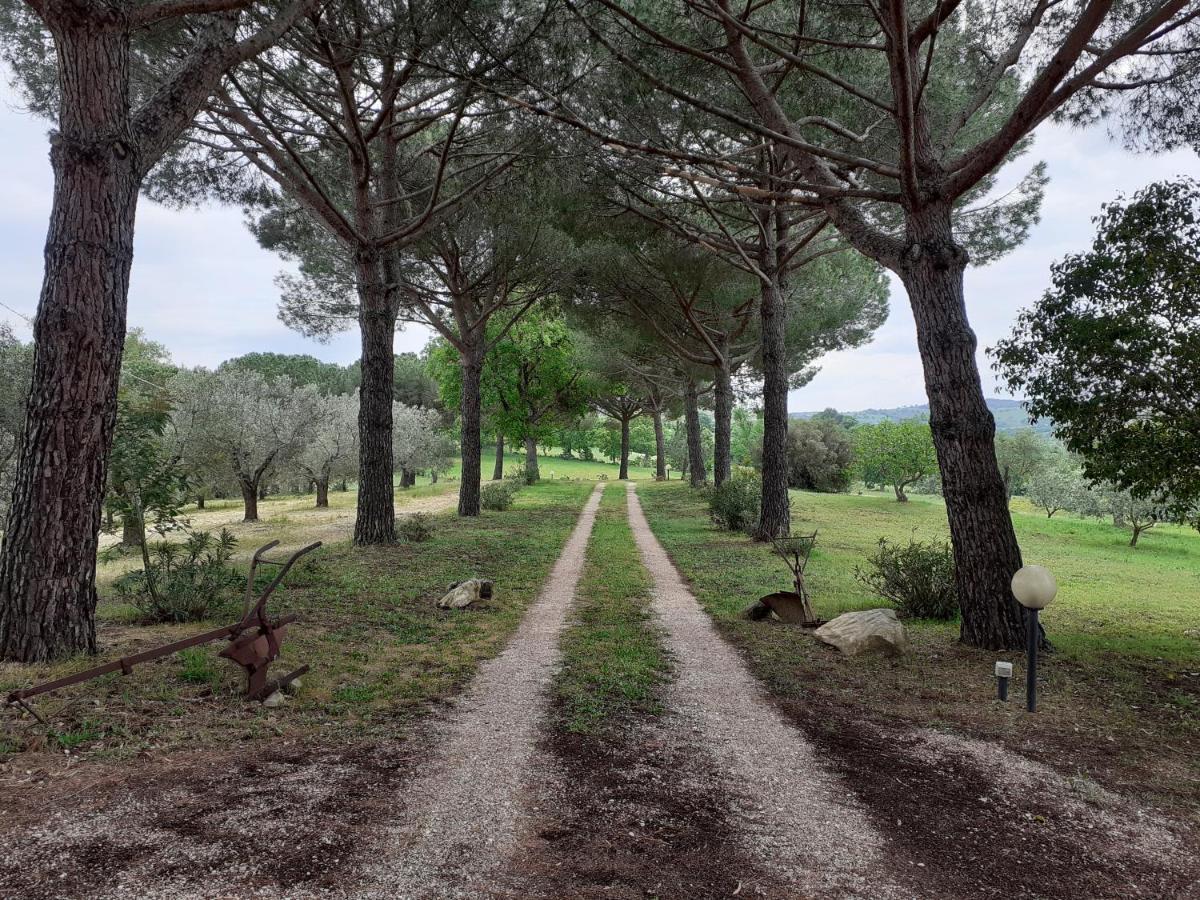 Villa Podere Belvedere Classic Tuscan *