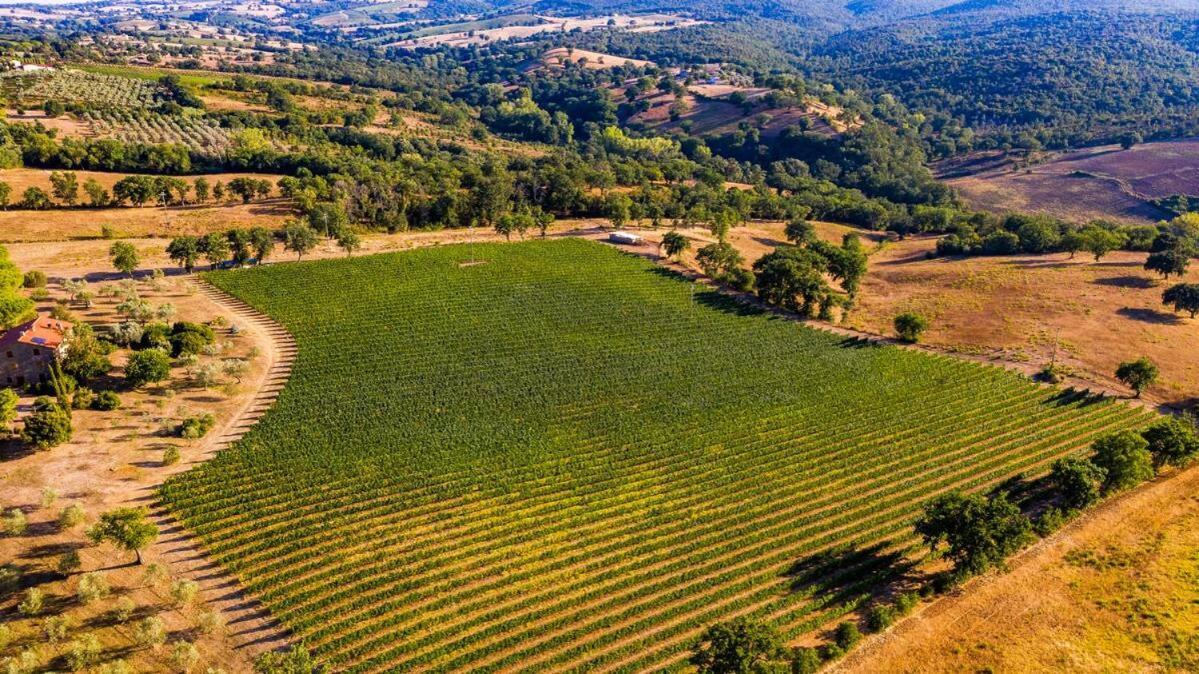Podere Belvedere Classic Tuscan Villa