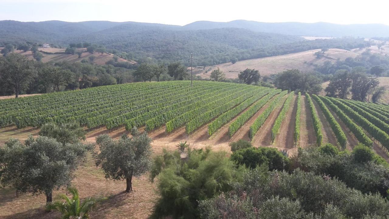 Villa Podere Belvedere Classic Tuscan *