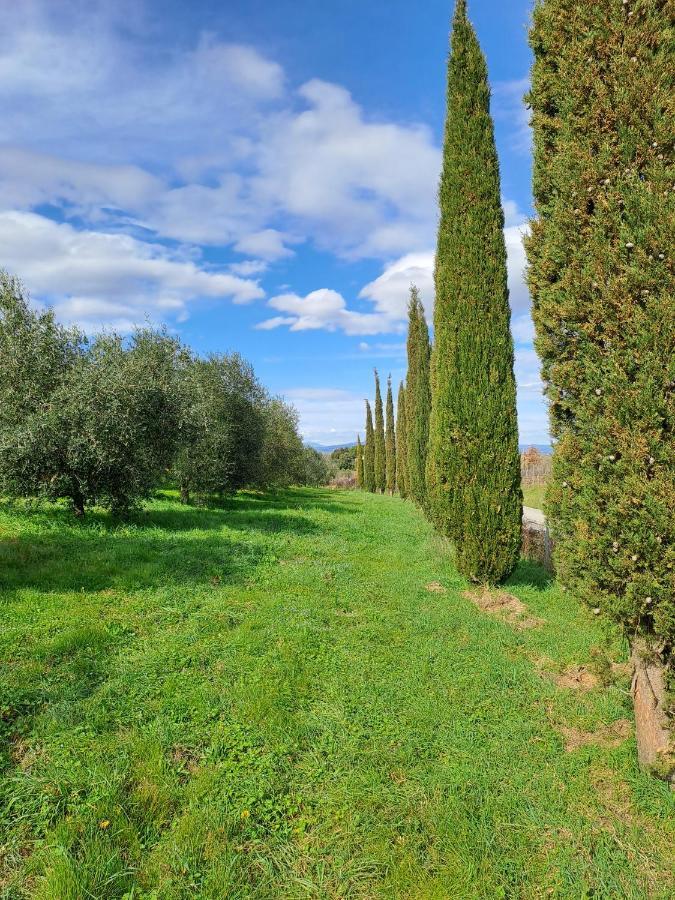 Podere Belvedere Classic Tuscan Villa