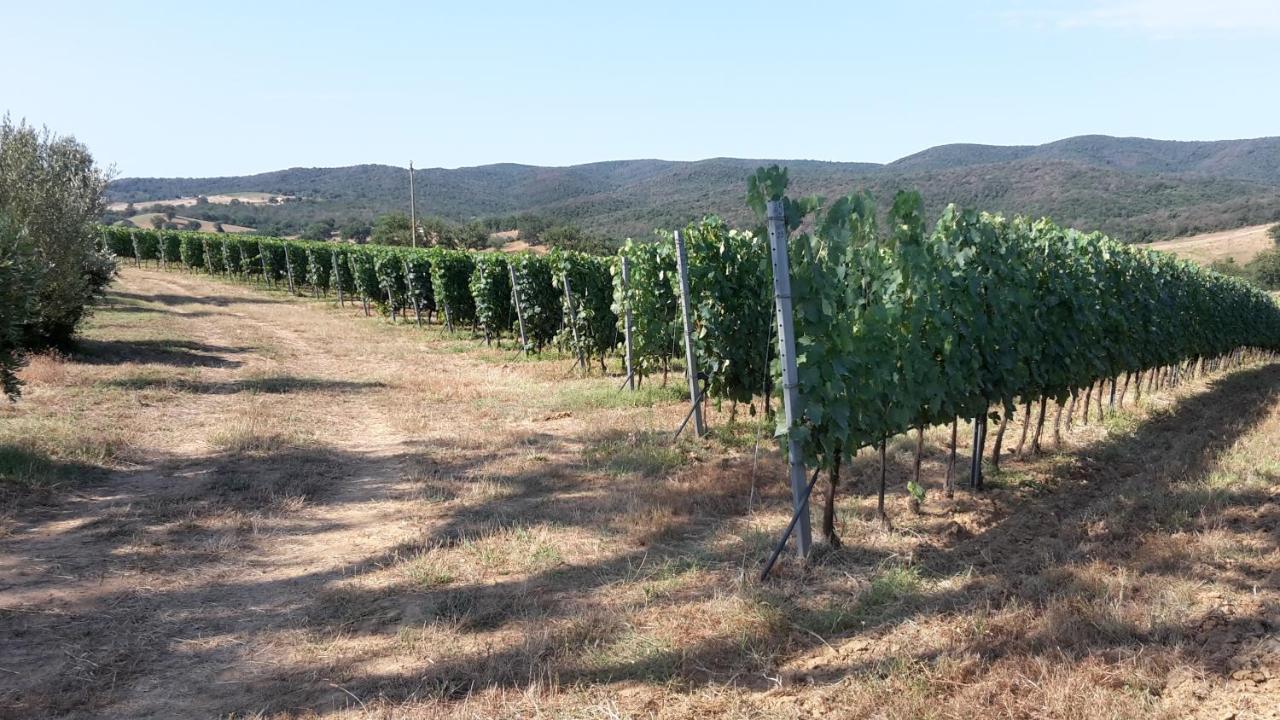 Villa Podere Belvedere Classic Tuscan *