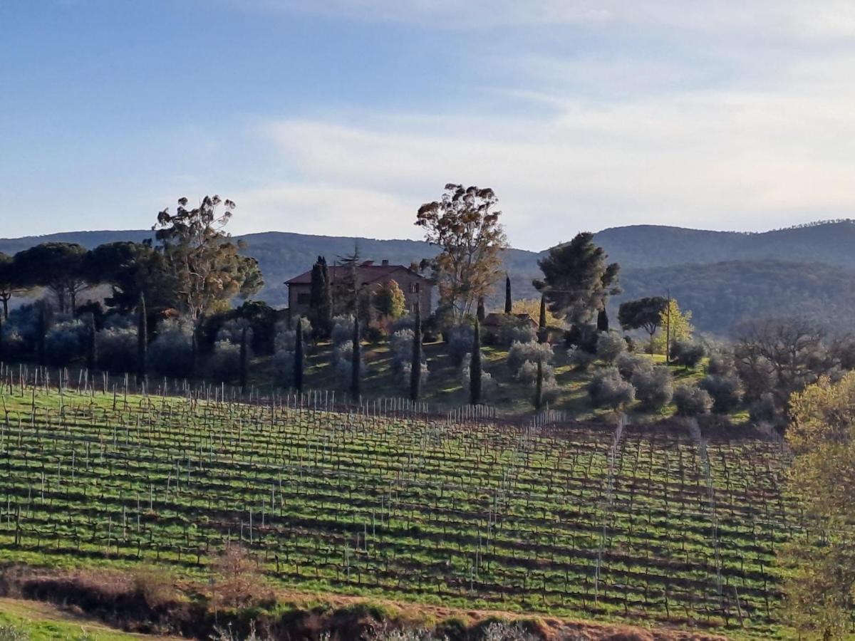 Villa Podere Belvedere Classic Tuscan *