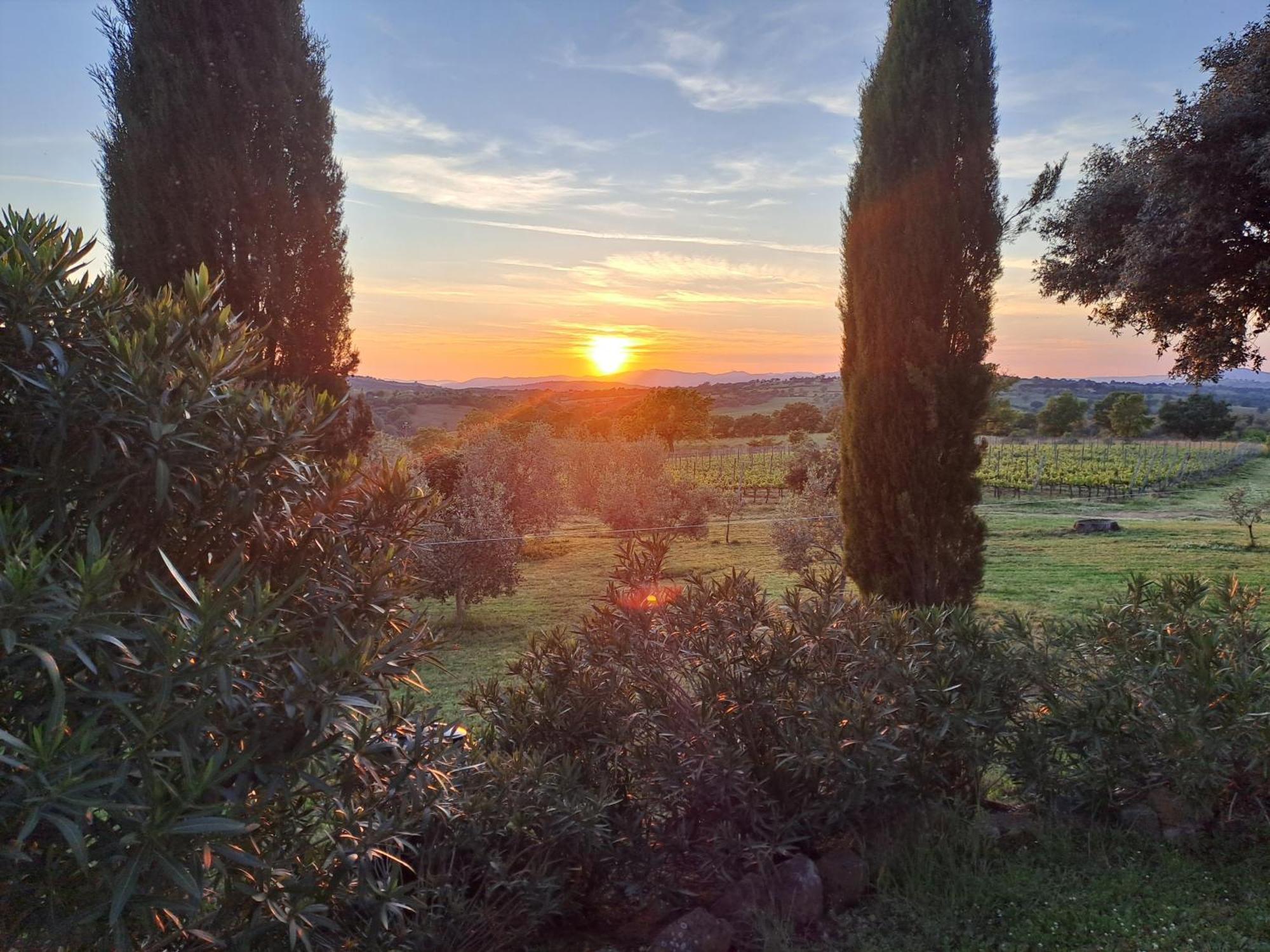 Podere Belvedere Classic Tuscan