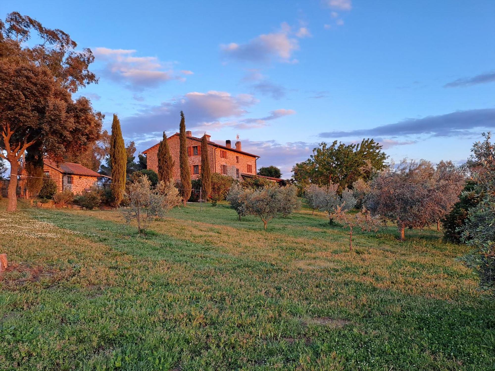 Podere Belvedere Classic Tuscan * Magliano in Toscana